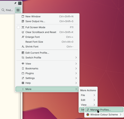 Screenshot showing how to navigate to Manage Profiles
